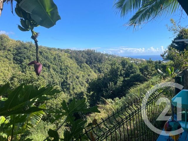 Appartement F2 à louer - 2 pièces - 37.8 m2 - ST DENIS - 974 - REUNION - Century 21 Chaussée Royale