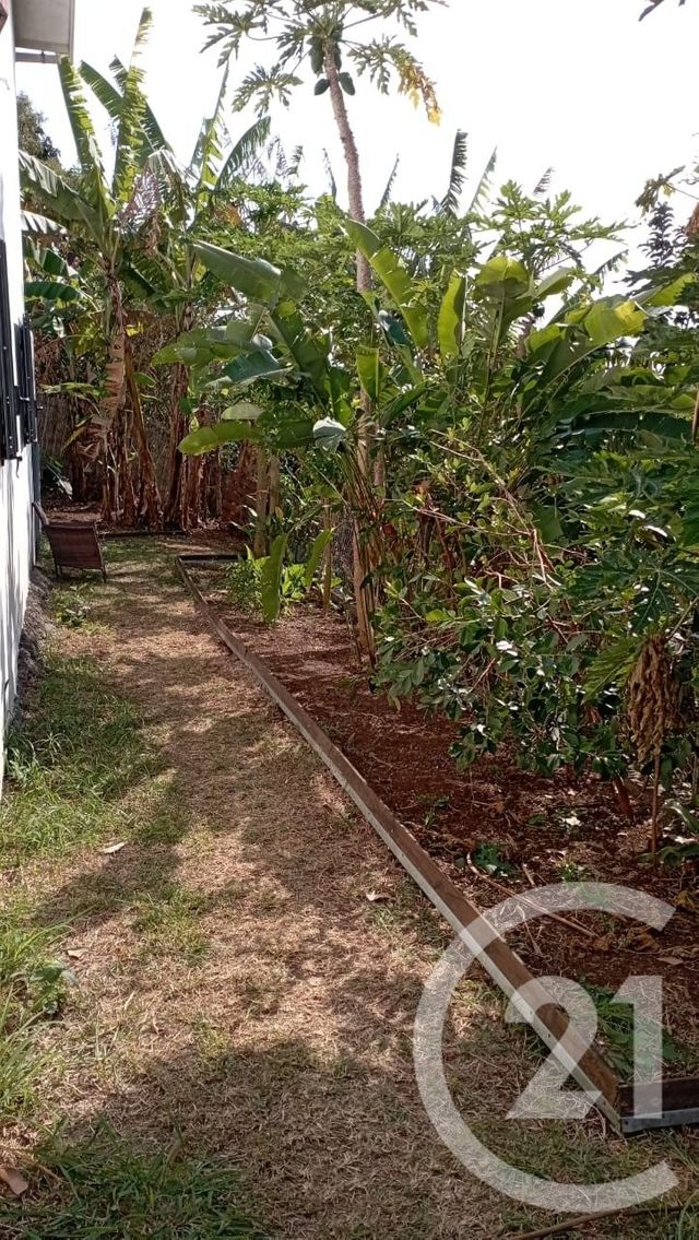 maison à louer - 4 pièces - 90.73 m2 - ST DENIS - 974 - REUNION - Century 21 Chaussée Royale