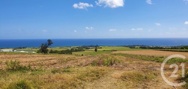 maison à louer - 5 pièces - 135.85 m2 - STE SUZANNE - 974 - REUNION - Century 21 Chaussée Royale