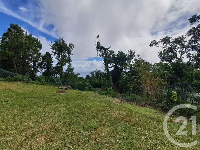 Appartement F3 à louer - 3 pièces - 54.64 m2 - ST DENIS - 974 - REUNION - Century 21 Chaussée Royale