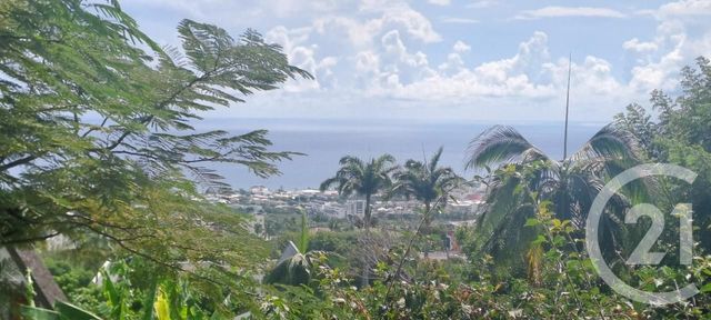 Appartement F2 à louer - 2 pièces - 40.82 m2 - ST DENIS - 974 - REUNION - Century 21 Chaussée Royale