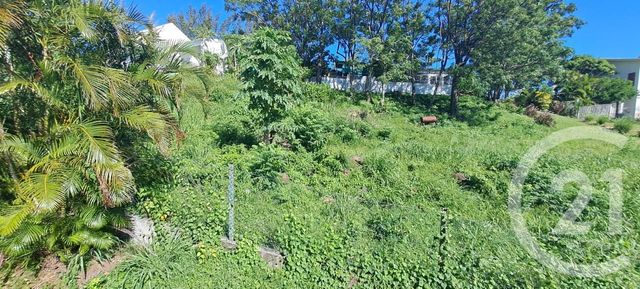 Appartement Studio à louer - 1 pièce - 19.52 m2 - ST DENIS - 974 - REUNION - Century 21 Chaussée Royale